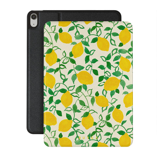 CM_15IP_iPAD_AIR_11