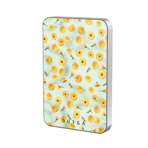 RL_02MS_MagPbank5K-SI