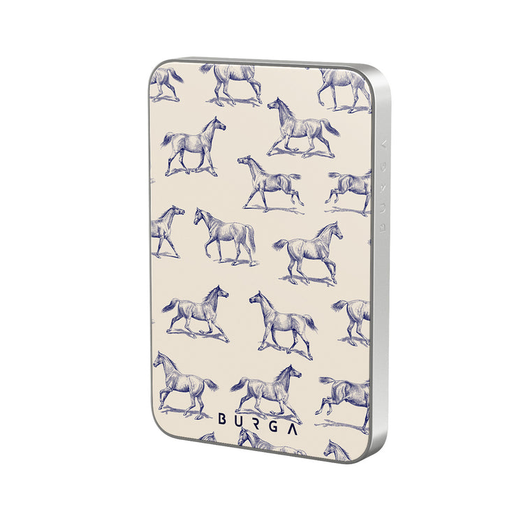 SC_04MS_MagPbank5K-SI